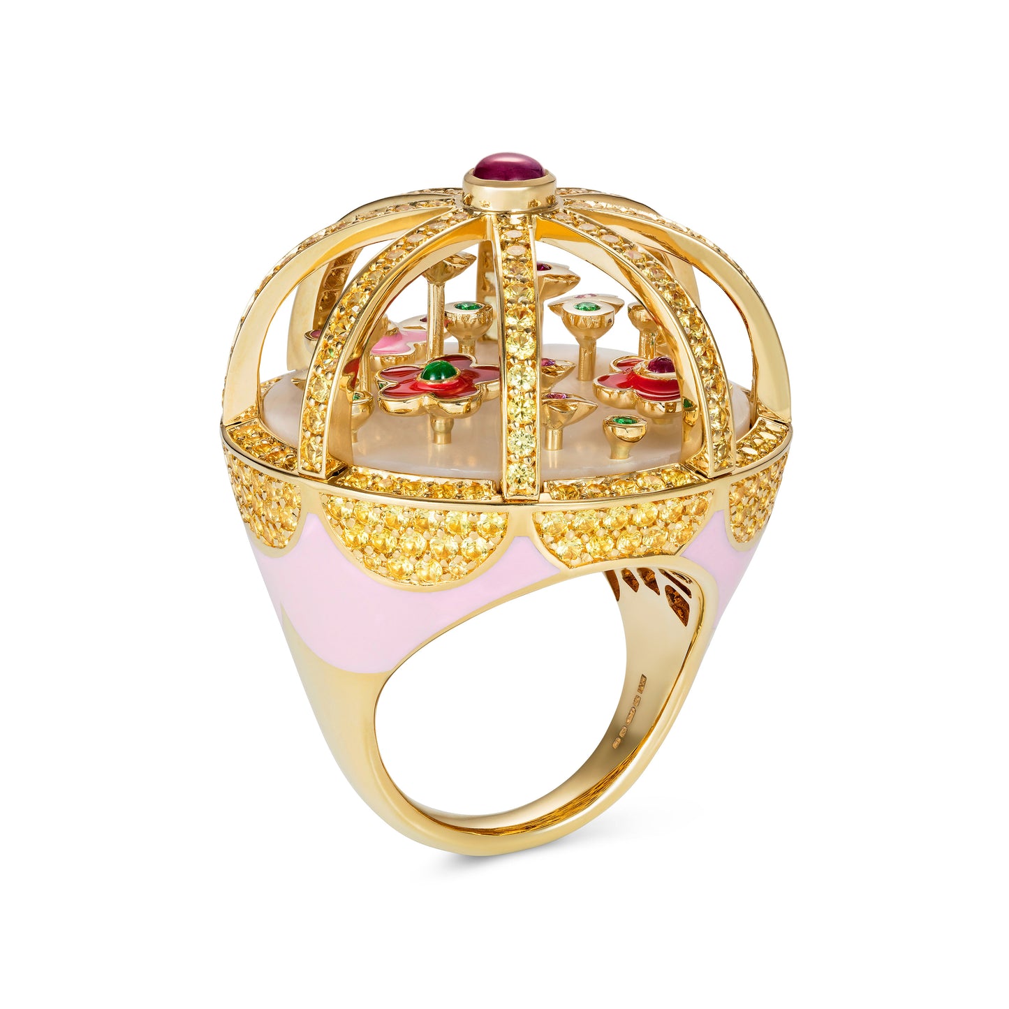 The Wild Ring